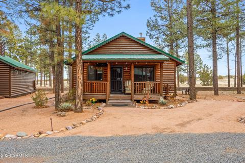 2713 High Pine Loop, Overgaard, AZ 85933 photo 33