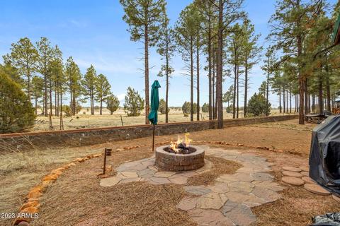 2713 High Pine Loop, Overgaard, AZ 85933 photo 18
