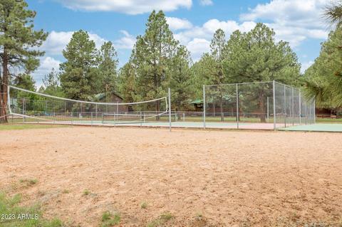 2713 High Pine Loop, Overgaard, AZ 85933 photo 24