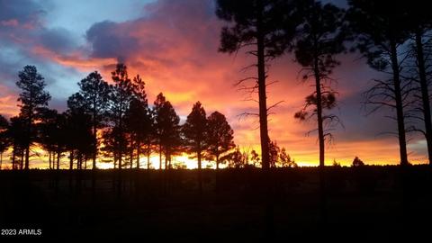2713 High Pine Loop, Overgaard, AZ 85933 photo 32