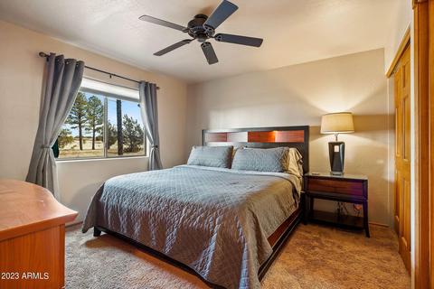 2713 High Pine Loop, Overgaard, AZ 85933 photo 5