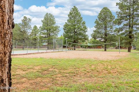 2713 High Pine Loop, Overgaard, AZ 85933 photo 23