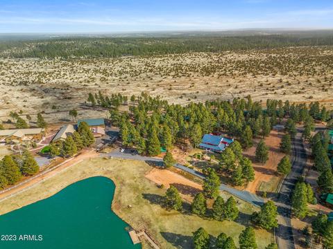 2713 High Pine Loop, Overgaard, AZ 85933 photo 22