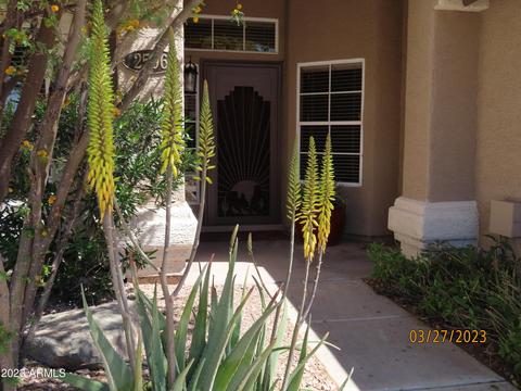 2506 E Rockledge Rd, Phoenix, AZ 85048 photo 6