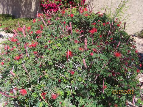 2506 E Rockledge Rd, Phoenix, AZ 85048 photo 51