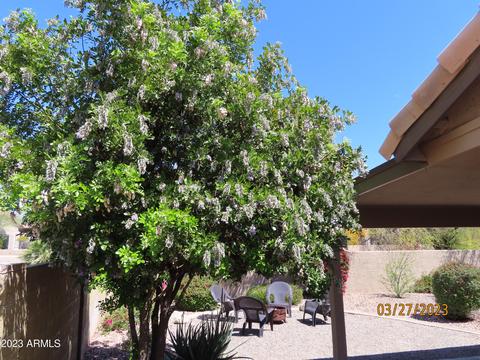 2506 E Rockledge Rd, Phoenix, AZ 85048 photo 61