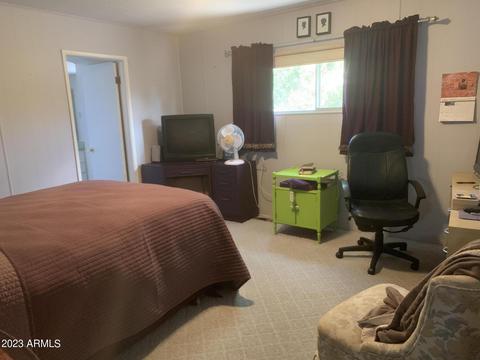 5713 E Marlin Pl, Mesa, AZ 85215 photo 12