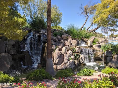 1342 E Sea Gull Dr, Gilbert, AZ 85234 photo 86