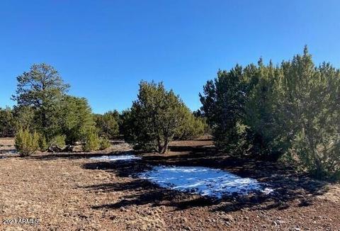 44 County Rd N8111 -- #-, Concho, AZ 85924