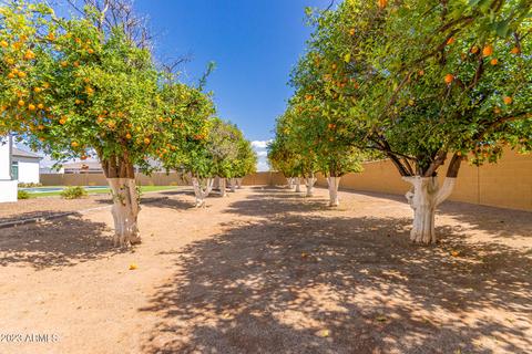 4039 E Mallory Cir, Mesa, AZ 85215 photo 69