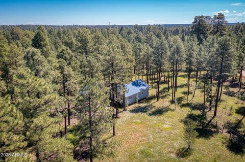 2785 Canyon Ridge Rd, Overgaard, AZ 85933 photo 30