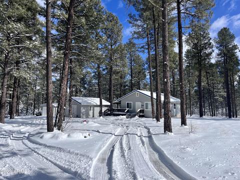 2785 Canyon Ridge Rd, Overgaard, AZ 85933 photo 24