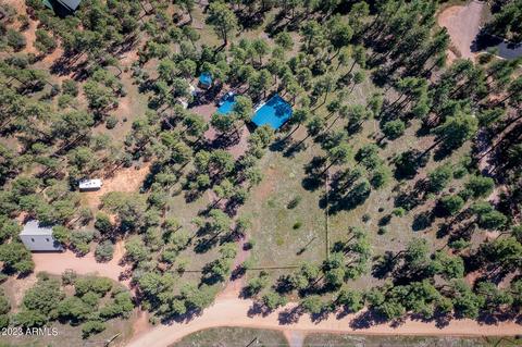 2785 Canyon Ridge Rd, Overgaard, AZ 85933 photo 28