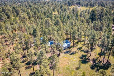 2785 Canyon Ridge Rd, Overgaard, AZ 85933 photo 25