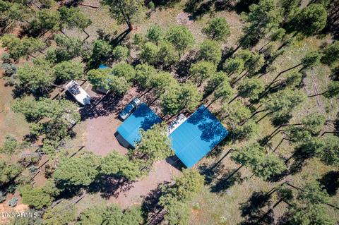 2785 Canyon Ridge Rd, Overgaard, AZ 85933 photo 27