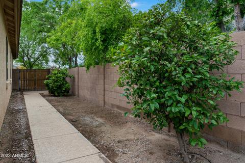 3598 E Janelle Way, Gilbert, AZ 85298 photo 20