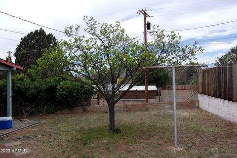 309 Clawson St, Bisbee, AZ 85603 photo 50