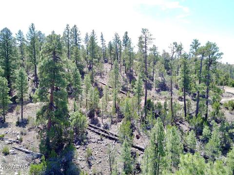 1737 Eskimo Ln #-, Heber, AZ 85928