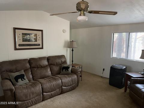2888 Big Pne, Overgaard, AZ 85933 photo 4