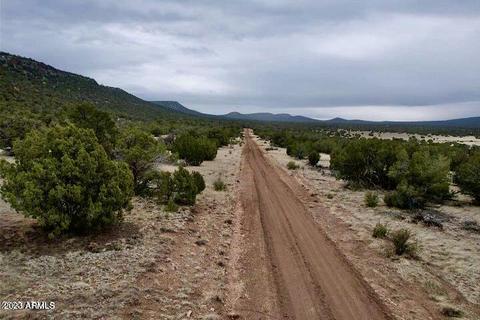 tbd N Lily Mountain Dr 4964 Acres -- #-, Seligman, AZ 86337