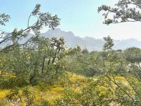 759 N Cortez Rd, Apache Junction, AZ 85119 photo 28