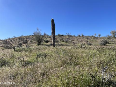 xAx N Elephant Butte Road #-, Queen Valley, AZ 85118