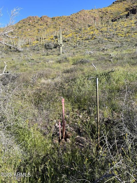 xBx N Elephant Butte Road #-, Queen Valley, AZ 85118