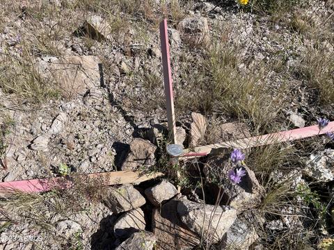 xDx N Elephant Butte Road #-, Queen Valley, AZ 85118