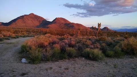 0000 N Pierce Ferry Rd #-, Meadview, AZ 86444