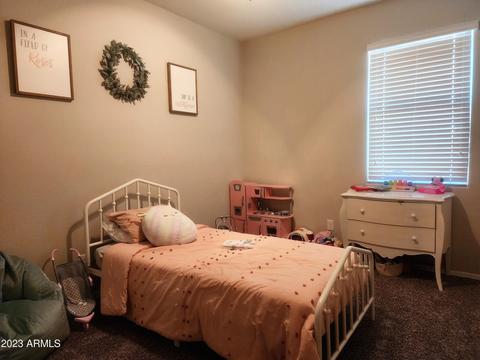 11351 E Aster Ln, Florence, AZ 85132 photo 10