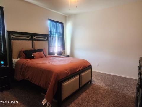 11351 E Aster Ln, Florence, AZ 85132 photo 12