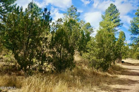 2343 Dovetail Trl, Overgaard, AZ 85933 photo 51
