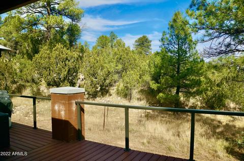 2343 Dovetail Trl, Overgaard, AZ 85933 photo 53