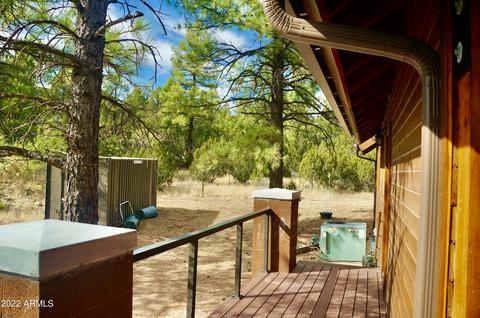 2343 Dovetail Trl, Overgaard, AZ 85933 photo 54