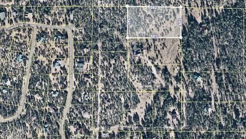 2343 Dovetail Trl, Overgaard, AZ 85933 photo 6