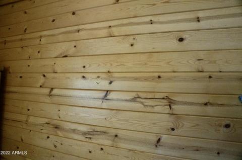 2343 Dovetail Trl, Overgaard, AZ 85933 photo 14