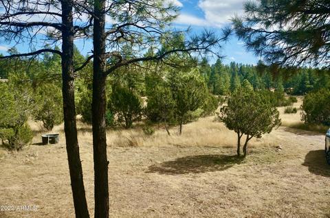 2343 Dovetail Trl, Overgaard, AZ 85933 photo 29