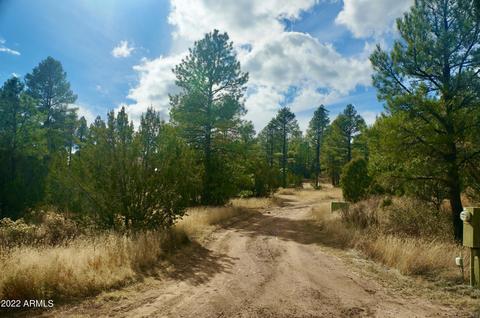 2343 Dovetail Trl, Overgaard, AZ 85933 photo 21