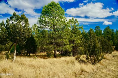 2343 Dovetail Trl, Overgaard, AZ 85933 photo 24