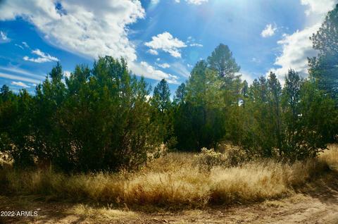 2343 Dovetail Trl, Overgaard, AZ 85933 photo 22