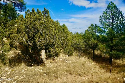 2343 Dovetail Trl, Overgaard, AZ 85933 photo 52