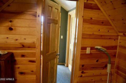 2343 Dovetail Trl, Overgaard, AZ 85933 photo 32