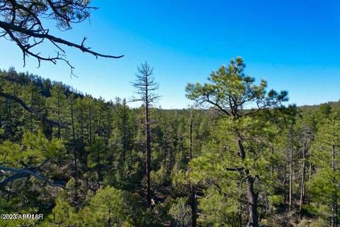 2953 S White Mountain Rd #-, Show Low, AZ 85901