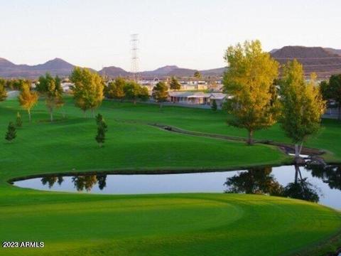 8700 E University Dr #2139, Mesa, AZ 85207 photo 39