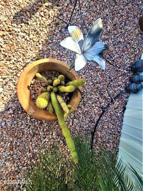 8700 E University Dr #2139, Mesa, AZ 85207 photo 37