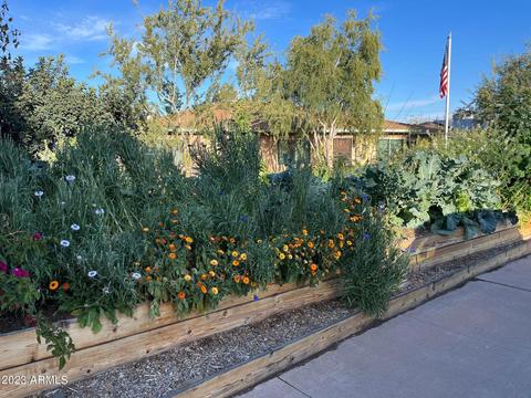 5603 N 12th Ave, Phoenix, AZ 85013 photo 10