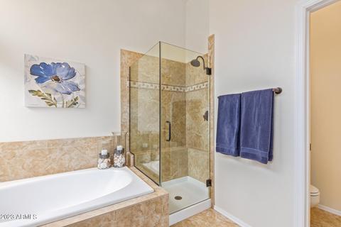 1442 E Nighthawk Way, Phoenix, AZ 85048 photo 18