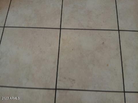 481 S Ocotillo Dr, Apache Junction, AZ 85120 photo 16
