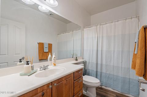 2841 E Megan St, Gilbert, AZ 85295 photo 39