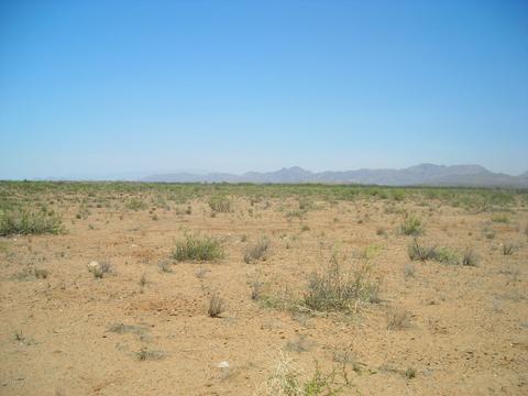 5700 E Arzberger Rd #161, Willcox, AZ 85643 photo 3